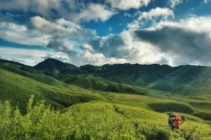 nagaland car Shifting